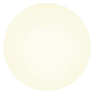Globo 12384-24W - LED Stropní svítidlo MATTHEW LED/24W/230V bílá