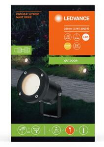 Ledvance - LED Venkovní lampa NAUT SPIKE LED/2W/12V IP44