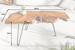 Odkládací stolek WILD 100 CM masiv teak skladem