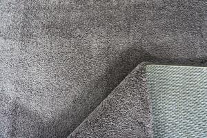 Kusový koberec Microsofty 8301 Brown 200x290 cm