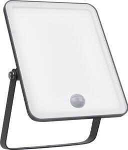 Ledvance - LED Venkovní nástěnný reflektor se senz. FLOODLIGHT LED/30W/230V IP65