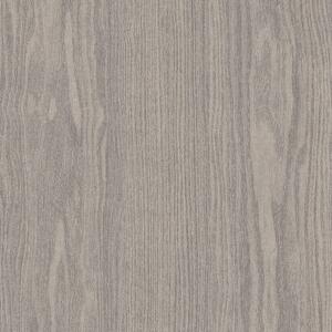 AMTICO FIRST Wood Frosted oak SF3W5020 - 2 m2