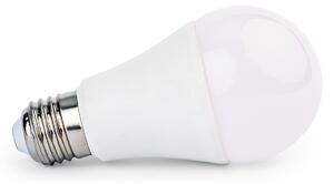 LED žárovka ECOlight - E27 - 10W - 800Lm - studená bílá