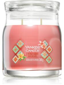 Yankee Candle Capri Glow vonná svíčka 368 g