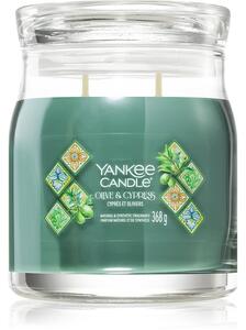 Yankee Candle Olive & Cypress vonná svíčka 368 g