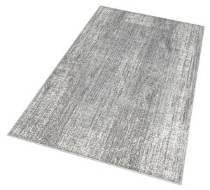 Kusový koberec Celebration 103471 Elysium Grey Creme 120x170 cm