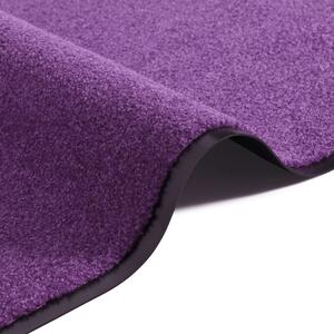 Rohožka Wash & Clean 103838 Violett 60x90 cm