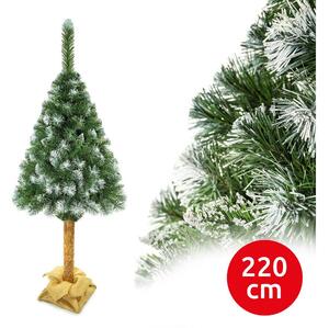 Vánoční stromek na kmenu 220 cm borovice