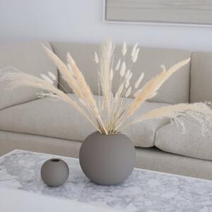 Sušené květiny Lagurus White COOEE Design