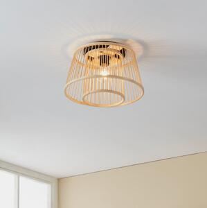 Eglo 43851 - Stropní svítidlo HYKEHAM 1xE27/40W/230V