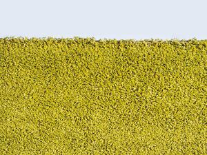 Kusový koberec Efor Shaggy 1903/Green 160x230 cm