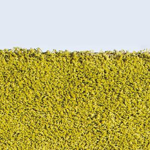Kusový koberec Efor Shaggy 1903/Green 200x290 cm