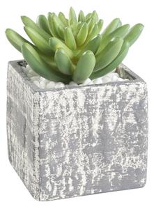 Eglo 428007 - Umělá rostlina v květináči CHITOSE 12x7,5 cm sukulent
