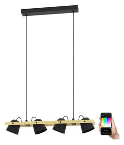 Eglo 900883 - LED RGBW Stmívatelný lustr na lanku HORNWOOD-Z 4xLED/3,7W/230V