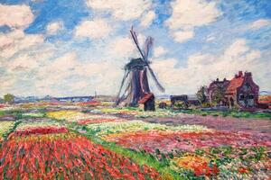 Obrazová reprodukce Tulip Fields with the Rijnsburg Windmill, 1886, Claude Monet