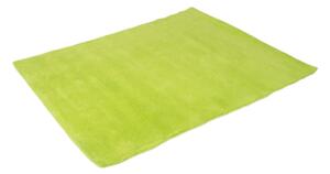 Kusový koberec Spring Green 40x60 cm