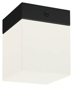 Stropní osvětlení do koupelny SIS, 1xG9, 40W, černé, bílé
