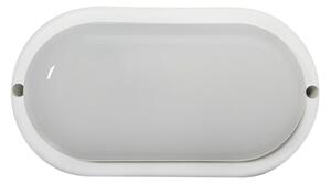 TRIXLINE Stropní LED světlo Bílé Q-50A - P1699