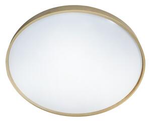 LED Stmívatelné stropní svítidlo DRINA LED/36W/230V 2700-6500K +dálkové ovládání