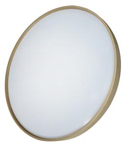 LED Stmívatelné stropní svítidlo DRINA LED/36W/230V 2700-6500K +dálkové ovládání