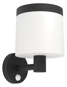 Eglo 901076-LED Solární nástěnné svítidlo se senzorem PANTETE LED/7,5W/3,7V IP44