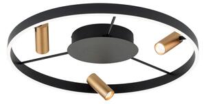 Orion DL 7-686/3-LED Stmívatelné strop. svítidlo BERLIN LED/50W/230V černá/zlatá