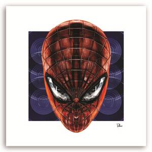 Obraz na plátně Spider-Man - Rubiant Rozměry: 30 x 30 cm