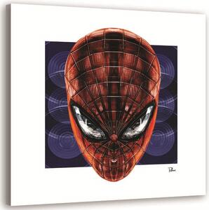 Obraz na plátně Spider-Man - Rubiant Rozměry: 30 x 30 cm