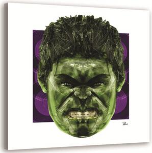Obraz na plátně Zelená hlava Hulka - Rubiant Rozměry: 30 x 30 cm