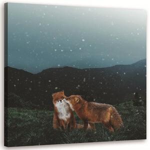 Obraz na plátně Dvě lišky v noci - Rokibul Hasan Rozměry: 30 x 30 cm
