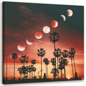 Obraz na plátně Fáze Měsíce v Kalifornii - Rokibul Hasan Rozměry: 30 x 30 cm