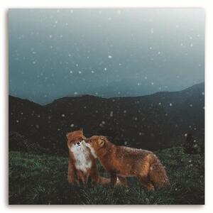 Obraz na plátně Dvě lišky v noci - Rokibul Hasan Rozměry: 30 x 30 cm