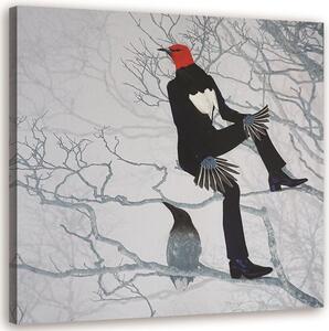 Obraz na plátně Pták v obleku sedící na větvi - Lili Chartrand Rozměry: 30 x 30 cm