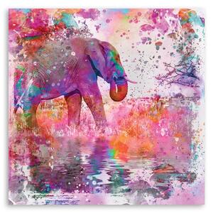 Obraz na plátně Slon mezi barvami - Andrea Haase Rozměry: 30 x 30 cm