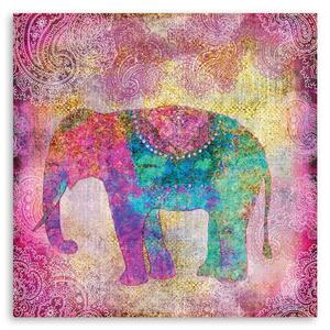 Obraz na plátně Slon indický - Andrea Haase Rozměry: 30 x 30 cm