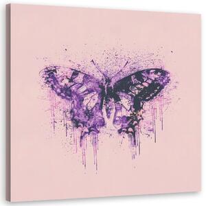 Obraz na plátně Fialový motýl - Andrea Haase Rozměry: 30 x 30 cm
