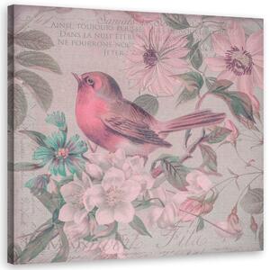 Obraz na plátně Malý pták v růžových květech - Andrea Haase Rozměry: 30 x 30 cm