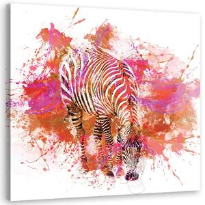 Obraz na plátně Barevně malovaná zebra - Andrea Haase Rozměry: 30 x 30 cm