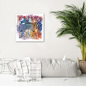 Obraz na plátně Stádo modrých zeber - Andrea Haase Rozměry: 30 x 30 cm