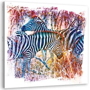 Obraz na plátně Stádo modrých zeber - Andrea Haase Rozměry: 30 x 30 cm