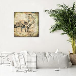 Obraz na plátně Slon a stará mapa Afriky - Andrea Haase Rozměry: 30 x 30 cm