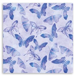 Obraz na plátně Modří motýli - Andrea Haase Rozměry: 30 x 30 cm