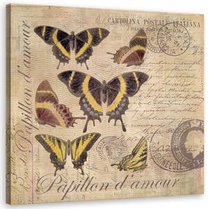 Obraz na plátně Motýli na béžovém pozadí - Andrea Haase Rozměry: 30 x 30 cm