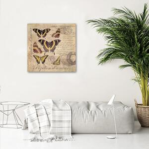 Obraz na plátně Motýli na béžovém pozadí - Andrea Haase Rozměry: 30 x 30 cm