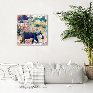 Obraz na plátně Slon v džungli - Andrea Haase Rozměry: 30 x 30 cm