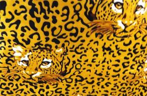 Bavlissimo 2-dílné povlečení leopard mikroflanel 140x200 na jednu postel