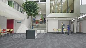 FORBO Flotex Advance Latitude Grey S202037 - 2 bm