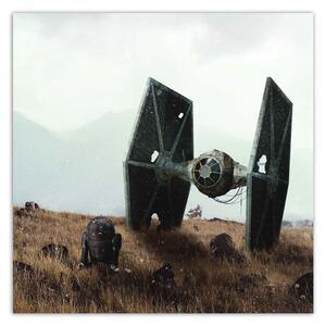 Obraz na plátně Star Wars, droid a vesmírná loď - Zehem Chong Rozměry: 30 x 30 cm