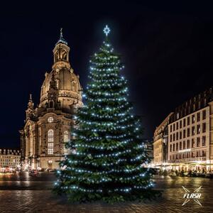 LED světelná sada na stromy vysoké 18-20m, ledová bílá s Flash