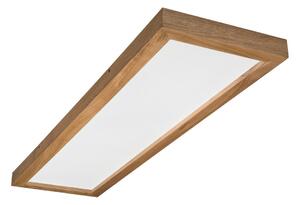 Brilagi-LED Stmívatelné svítidlo WOODY FRAME LED/50W/230V dub 120x30 cm IP44 +DO